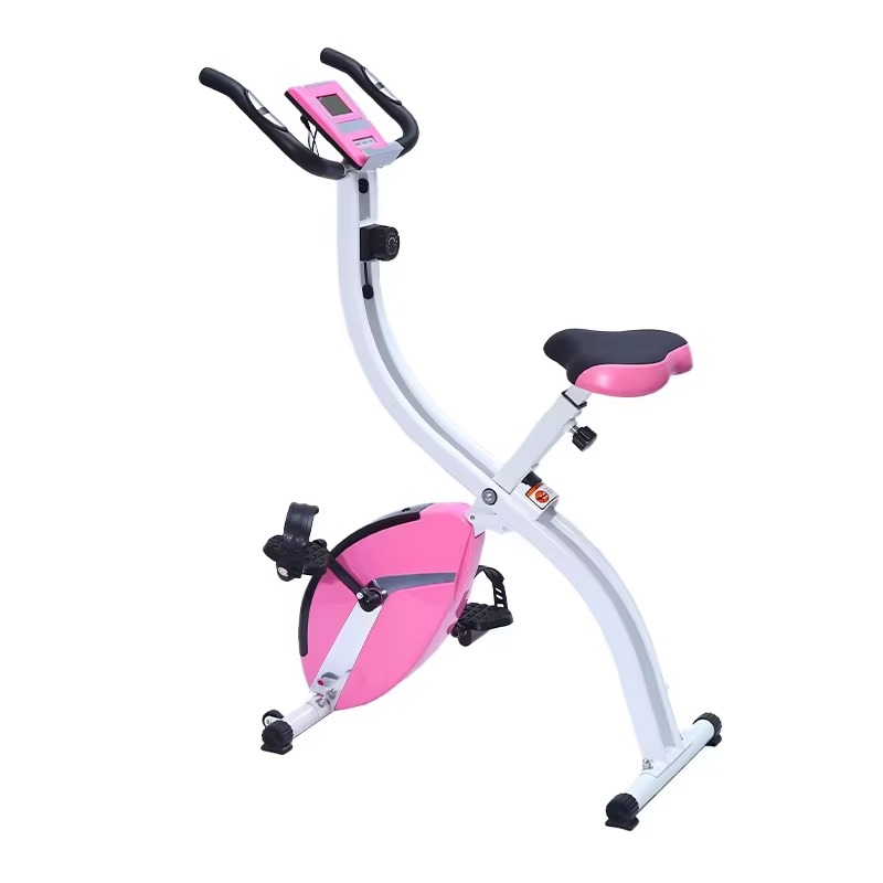 Health Wellness Gym - Bicicleta estacionaria controlada magnética: bicicletas de