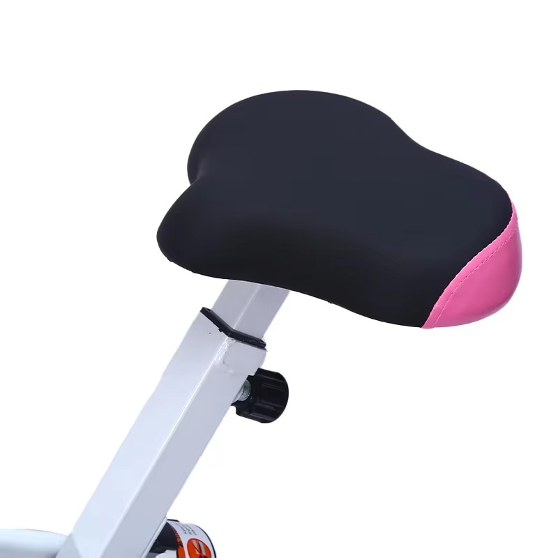 Bicicleta estacionaria control - Health Wellness Gym reseña y precio