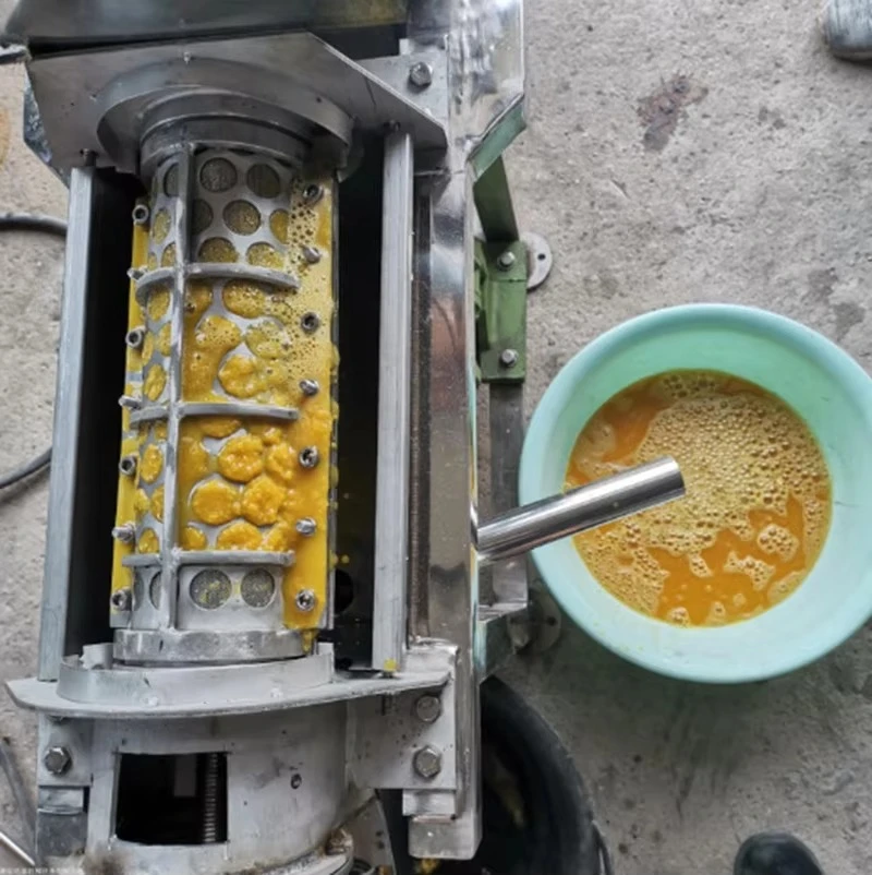 Extractor de Jugo Comercial de - Cold Press Juicer reseña y precio