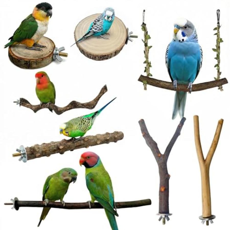 8 perchas de madera natural pa - Health & Wellness Services At Western University London Reviews reseña y precio